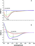 Graphical abstract: Impact of SDS surfactant on the interactions of Cu2+ ions with the amyloidogenic region of human prion protein