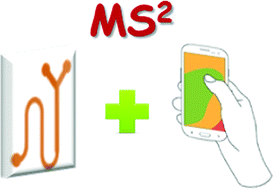 Graphical abstract: Novel developments in mobile sensing based on the integration of microfluidic devices and smartphones