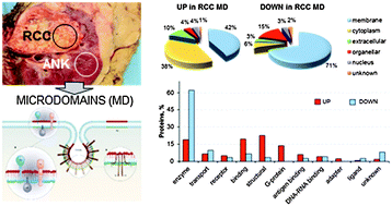 Graphical abstract: Comparative membrane proteomics: a technical advancement in the search of renal cell carcinoma biomarkers