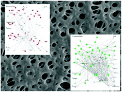 Graphical abstract: Biocompatibility assessment of haemodialysis membrane materials by proteomic investigations