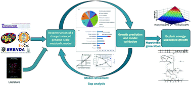 Graphical abstract: Reconstruction of a charge balanced genome-scale metabolic model to study the energy-uncoupled growth of Zymomonas mobilis ZM1