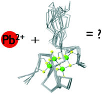 Graphical abstract: Thermodynamics of Pb(ii) and Zn(ii) binding to MT-3, a neurologically important metallothionein