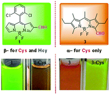 Graphical abstract: Highly selective colorimetric and fluorescent BODIPY dyes for sensing of cysteine and/or homocysteine