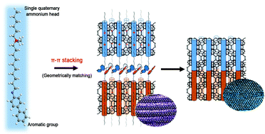 Graphical abstract: A design concept of amphiphilic molecules for directing hierarchical porous zeolite