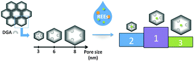 Graphical abstract: Support effects in rare earth element separation using diglycolamide-functionalized mesoporous silica