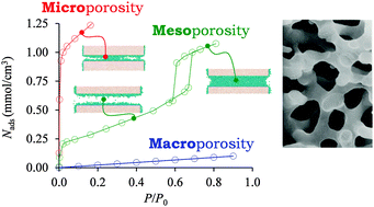 Graphical abstract: Multiscale adsorption and transport in hierarchical porous materials
