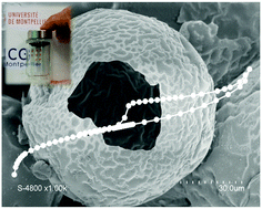 Graphical abstract: Nanocomposites with both structural and porous hierarchy synthesized from Pickering emulsions