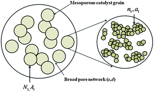 Graphical abstract: Nature-inspired optimization of hierarchical porous media for catalytic and separation processes