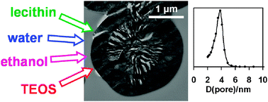 Graphical abstract: Phospholipid–silica mesophases formed in hydroalcoholic solution as precursors of mesoporous silica