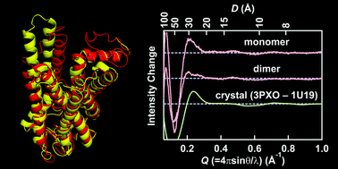 Graphical abstract: Helical rearrangement of photoactivated rhodopsin in monomeric and dimeric forms probed by high-angle X-ray scattering