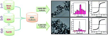 Graphical abstract: Role of SDS surfactant concentrations on the structural, morphological, dielectric and magnetic properties of CoFe2O4 nanoparticles