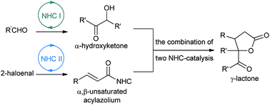 Graphical abstract: Synthesis of functionalized γ-lactones via a three-component cascade reaction catalyzed by consecutive N-heterocyclic carbene systems