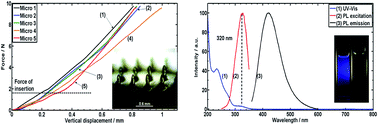 Graphical abstract: Biodegradable and conductive chitosan–graphene quantum dot nanocomposite microneedles for delivery of both small and large molecular weight therapeutics