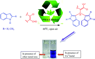 Graphical abstract: An efficient solvent-free synthesis of bis(indolyl)methane-based naked eye chemosensor for Cu2+ ion from β-chloro-α,β-unsaturated aldehydes using PMA-Cellulose as a solid phase reusable catalyst
