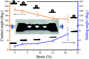 Graphical abstract: Facile fabrication of a superhydrophobic titanium surface with mechanical durability by chemical etching