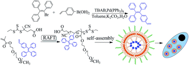 Graphical abstract: Synthesis of amphiphilic fluorescent PEGylated AIE nanoparticles via RAFT polymerization and their cell imaging applications