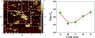 Graphical abstract: Understanding in crystallization of polyethylene: the role of boron nitride (BN) particles