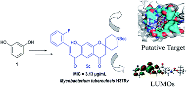 Graphical abstract: Spirochromone-chalcone conjugates as antitubercular agents: synthesis, bio evaluation and molecular modeling studies