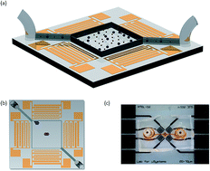 Graphical abstract: Batch process particle separation using surface acoustic waves (SAW): integration of travelling and standing SAW