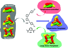 Graphical abstract: [C–H⋯anion] interactions mediate the templation and anion binding properties of topologically non-trivial metal–organic structures in aqueous solutions