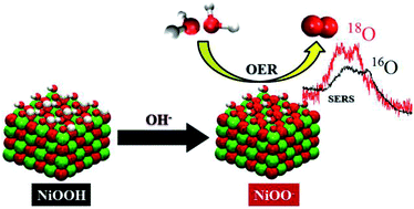 Graphical abstract: The importance of nickel oxyhydroxide deprotonation on its activity towards electrochemical water oxidation
