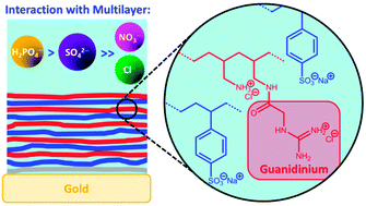 Graphical abstract: The effect of guanidinium functionalization on the structural properties and anion affinity of polyelectrolyte multilayers