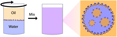 Graphical abstract: One-step production of multiple emulsions: microfluidic, polymer-stabilized and particle-stabilized approaches