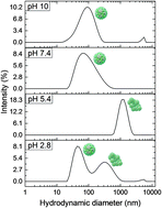 Graphical abstract: Characterization and control of surfactant-mediated Norovirus interactions