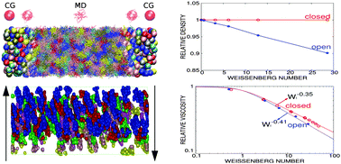 Graphical abstract: Open boundary molecular dynamics of sheared star-polymer melts