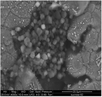 Graphical abstract: A novel approach to fabricate zeolite membranes for pervaporation processes