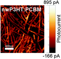 Graphical abstract: Morphology-performance relationships in polymer/fullerene blends probed by complementary characterisation techniques – effects of nanowire formation and subsequent thermal annealing