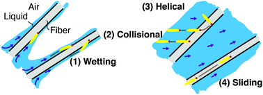 Graphical abstract: Orientational binding modes of reporters in a viral-nanoparticle lateral flow assay