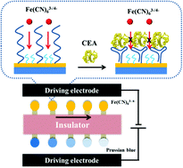Graphical abstract: Electrochromic sensing platform based on steric hindrance effects for CEA detection