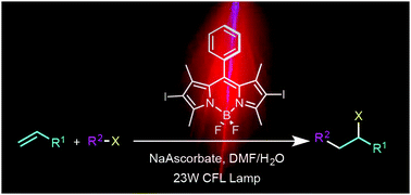 Graphical abstract: Photocatalytic ATRA reaction promoted by iodo-Bodipy and sodium ascorbate