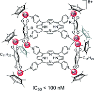Graphical abstract: Anticancer activity of large metalla-assemblies built from half-sandwich complexes