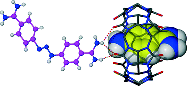 Graphical abstract: Host–guest complexes of cucurbit[6]uril with the trypanocide drug diminazene and its degradation product 4-aminobenzamidine