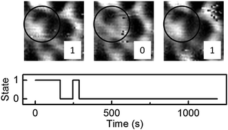 Graphical abstract: Composition-dependent metallic glass alloys correlate atomic mobility with collective glass surface dynamics