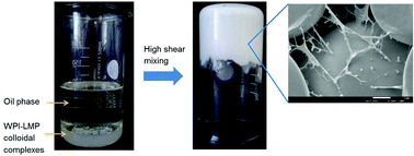 Graphical abstract: High internal phase emulsions stabilized solely by whey protein isolate-low methoxyl pectin complexes: effect of pH and polymer concentration