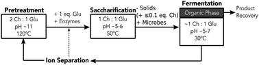 Graphical abstract: Switchable ionic liquids based on di-carboxylic acids for one-pot conversion of biomass to an advanced biofuel