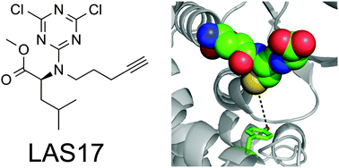 Graphical abstract: A tyrosine-reactive irreversible inhibitor for glutathione S-transferase Pi (GSTP1)