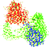 Graphical abstract: Allosteric mechanism of cyclopropylindolobenzazepine inhibitors for HCV NS5B RdRp via dynamic correlation network analysis