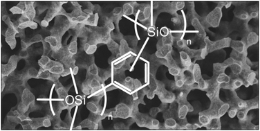 Graphical abstract: Hierarchically porous monolithic silica with varying porosity using bis(trimethoxysilyl)arenes as precursors