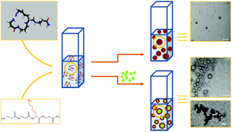 Graphical abstract: Self-assembled amphiphilic mixed α/β-tetrapeptoid nanostructures as promising drug delivery vehicles