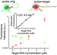 Graphical abstract: A universal design for a DNA probe providing ratiometric fluorescence detection by generation of silver nanoclusters