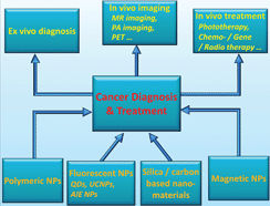 Graphical abstract: Editorial: Nanoscale approaches for cancer diagnosis and treatment