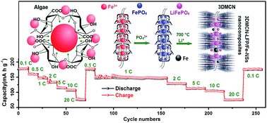 Graphical abstract: Fabricating three-dimensional mesoporous carbon network-coated LiFePO4/Fe nanospheres using thermal conversion of alginate-biomass