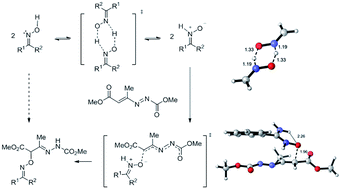 Graphical abstract: Revisiting oxime–nitrone tautomerism. Evidence of nitrone tautomer participation in oxime nucleophilic addition reactions