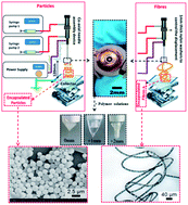 Graphical abstract: The effect of needle tip displacement in co-axial electrohydrodynamic processing