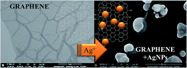 Graphical abstract: Elucidation of the function of oxygen moieties on graphene oxide and reduced graphene oxide in the nucleation and growth of silver nanoparticles