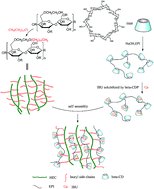 Graphical abstract: Synthesis and investigation of a self-assembled hydrogel based on hydroxyethyl cellulose and its in vitro ibuprofen drug release characteristics